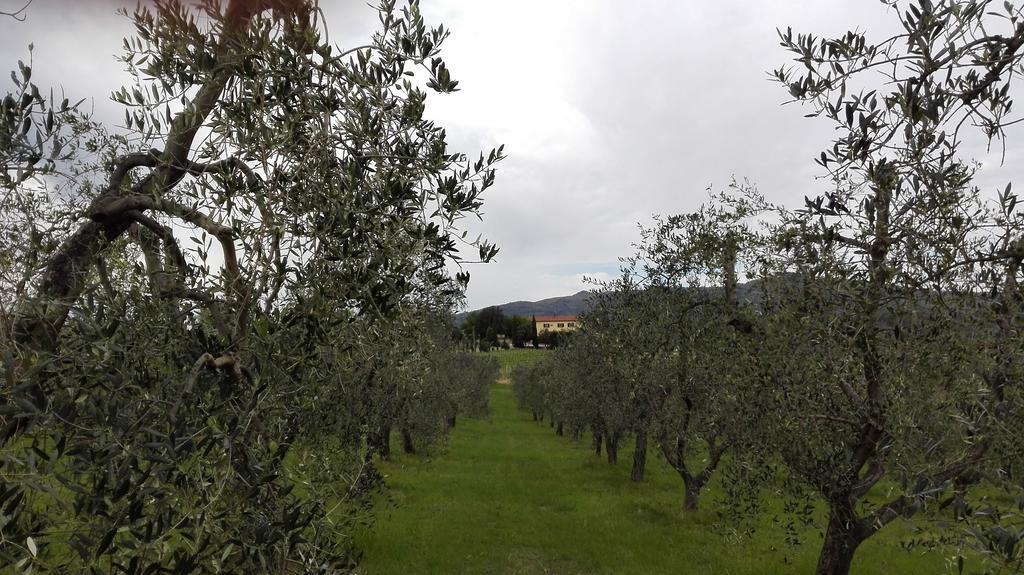 Agriturismo Luggiano Vinci Exterior photo