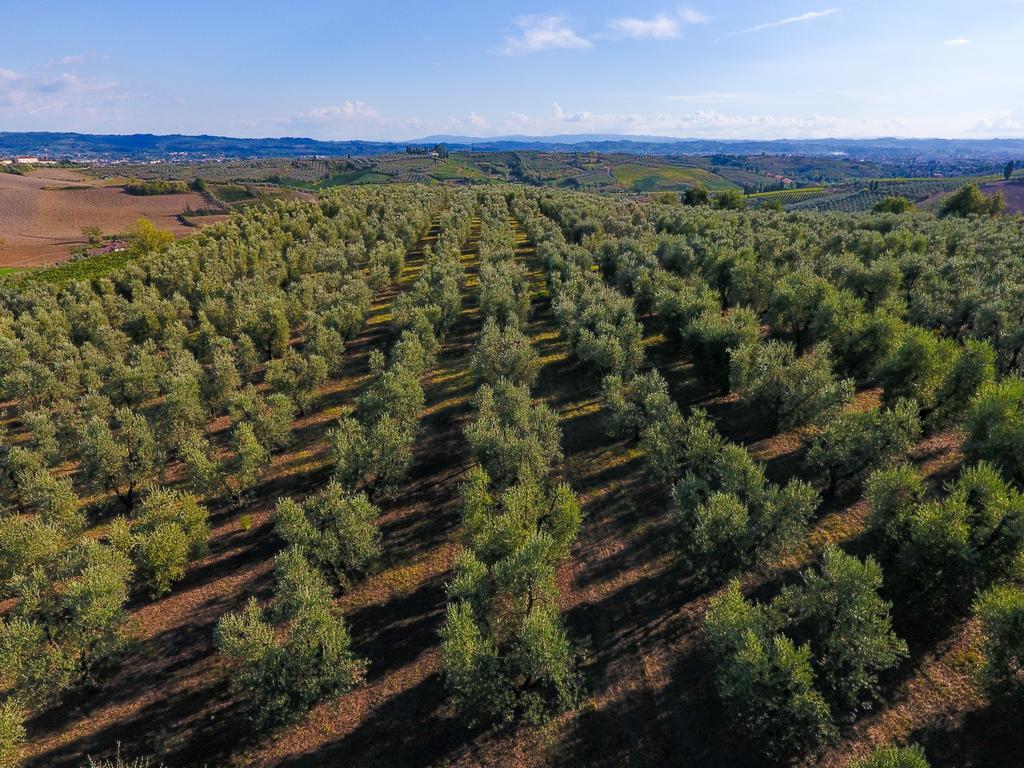 Agriturismo Luggiano Vinci Exterior photo